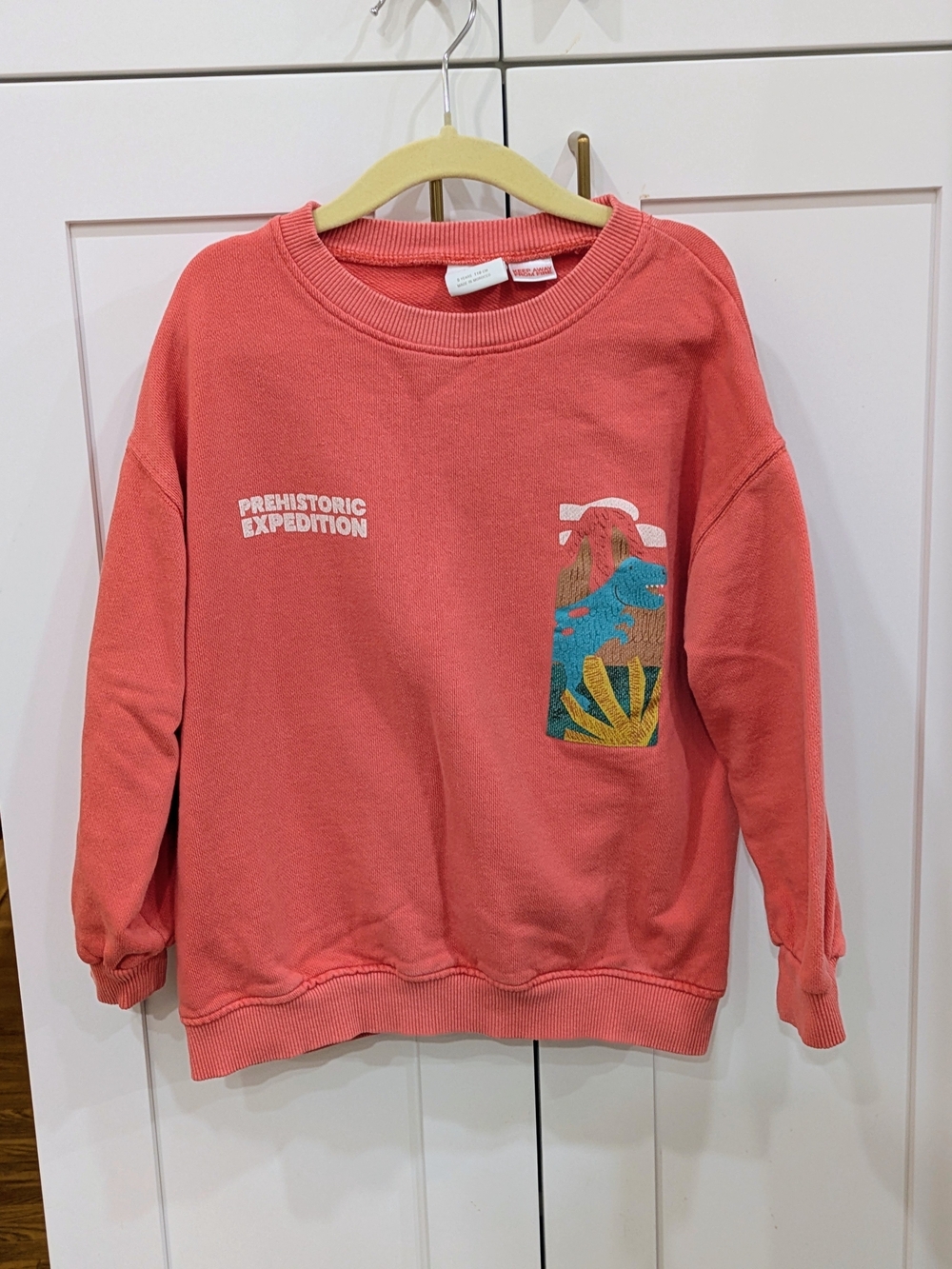 Zara Coral Pink 'Prehistoric Expedition' Crewneck Sweatshirt
